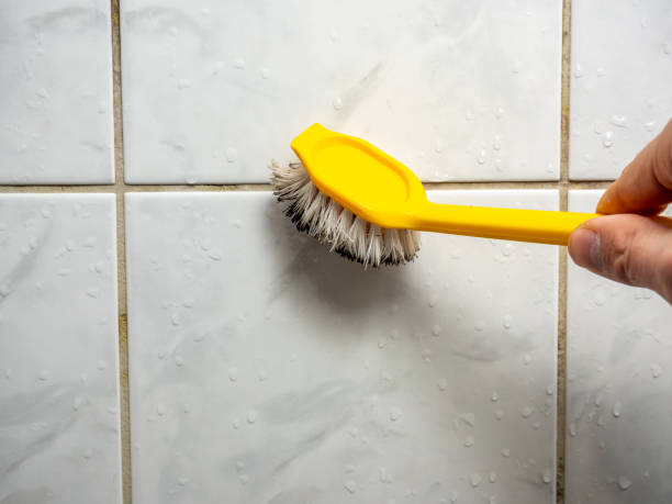 Best Mold Remediation for Schools in Menands, NY