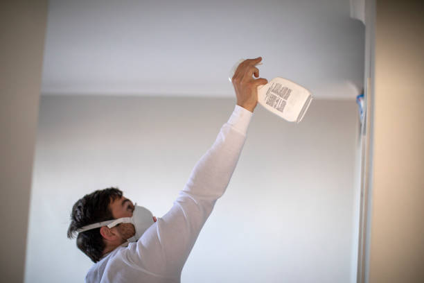 Best Basement Mold Remediation in Menands, NY